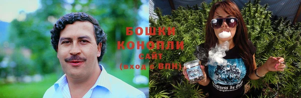 ПСИЛОЦИБИНОВЫЕ ГРИБЫ Аркадак