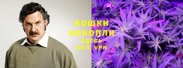 ПСИЛОЦИБИНОВЫЕ ГРИБЫ Аркадак